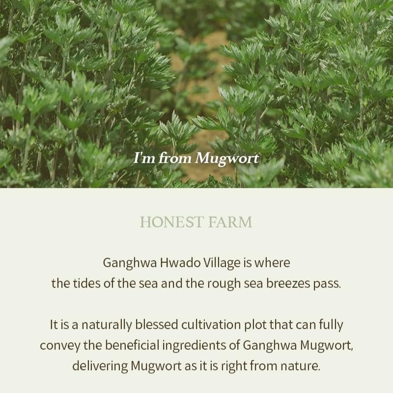 I'm from Mugwort Gel Cleanser 150ml